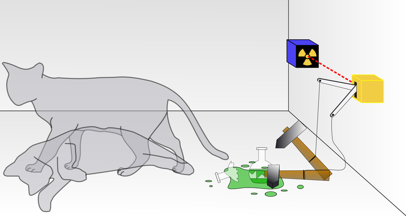 Representación gráfica del experimento imaginado por Schrödinger. El gato está a la vez vivo y muerto y su estado no puede conocerse hasta que se abra la caja. La medición confirma un resultado pero destruye la superposición. Foto: Wikipedia